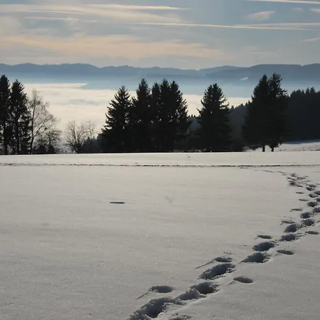 Fruehstueckspension Wiesenhaus B&B Miesenbach (Styria)